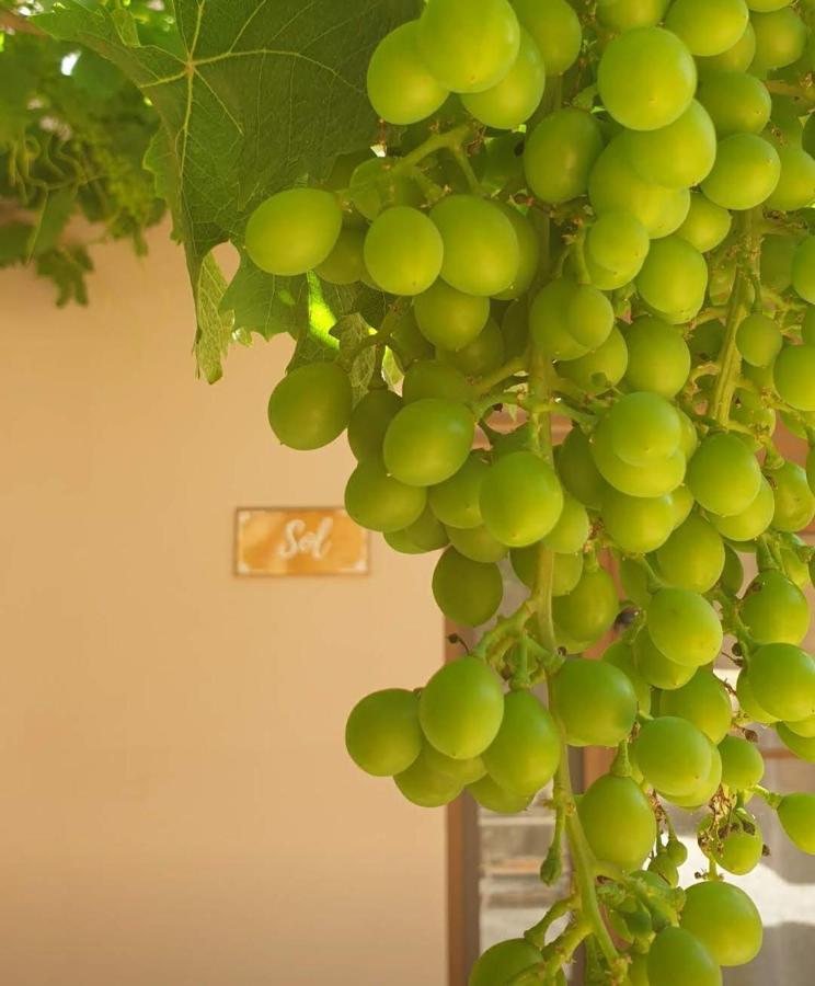 Los Romanes Premium Bed & Breakfast Casa Alegria Andaluza المظهر الخارجي الصورة